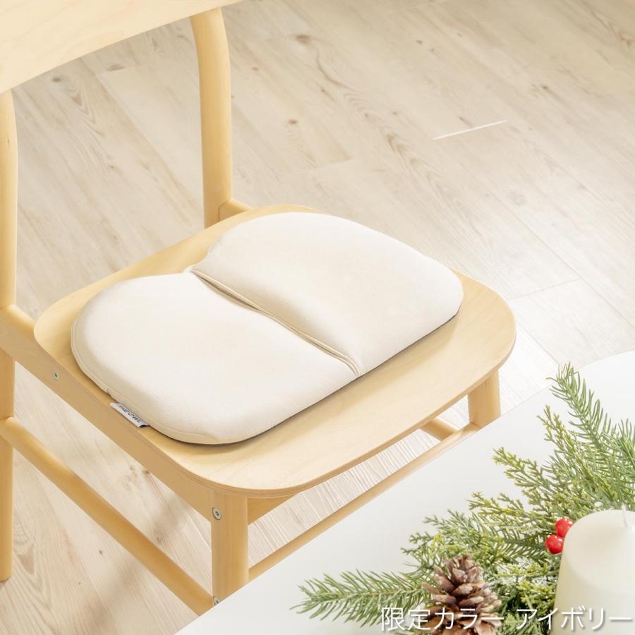 EXGEL（エクスジェル） 【12/15ヒルナンデス放送】ジェルクッション