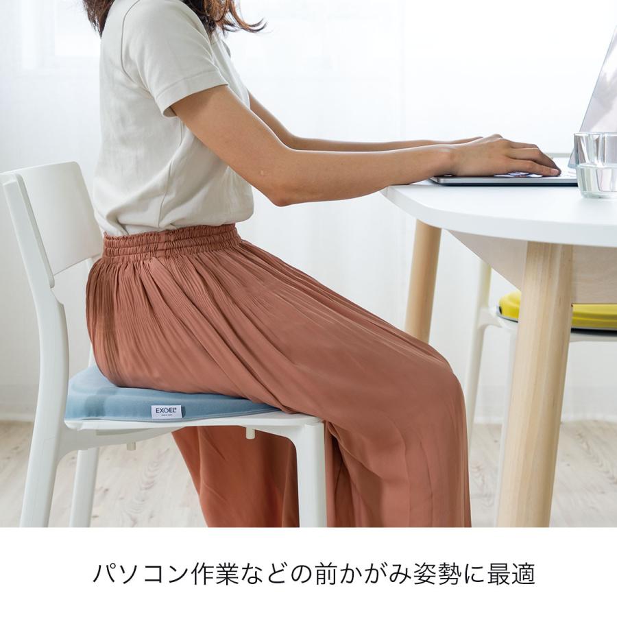 エクスジェル (EXGEL) まるプニフィット マリンブルー　PUN22 楽天市場】クッション テレワーク 人気アイテム エクスジェル