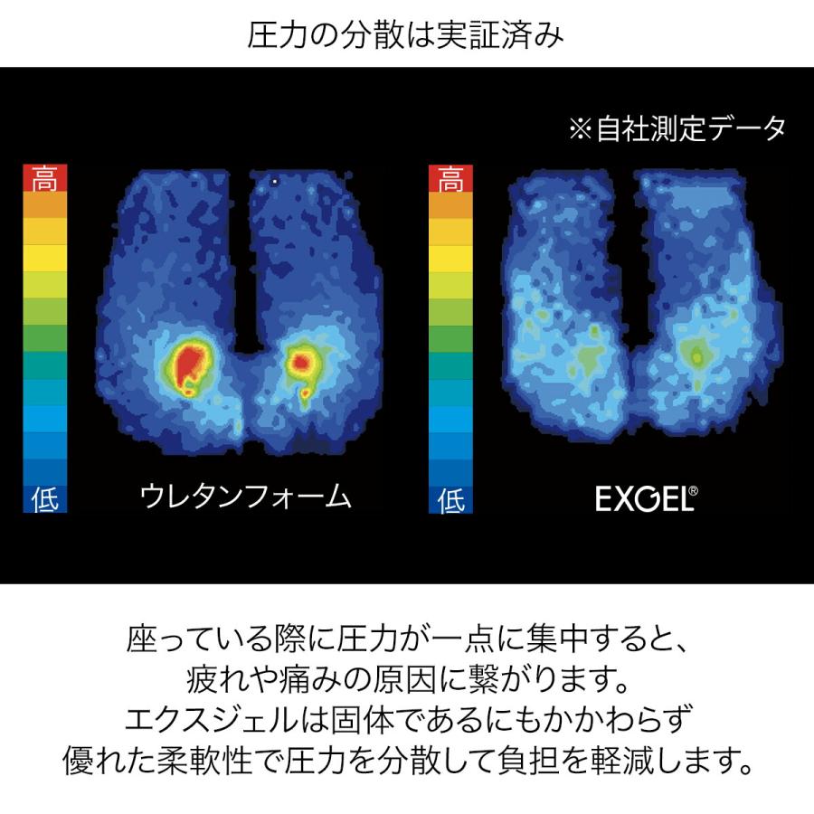 EXGEL（エクスジェル） ジェルクッション 姿勢 腰痛対策 体圧分散