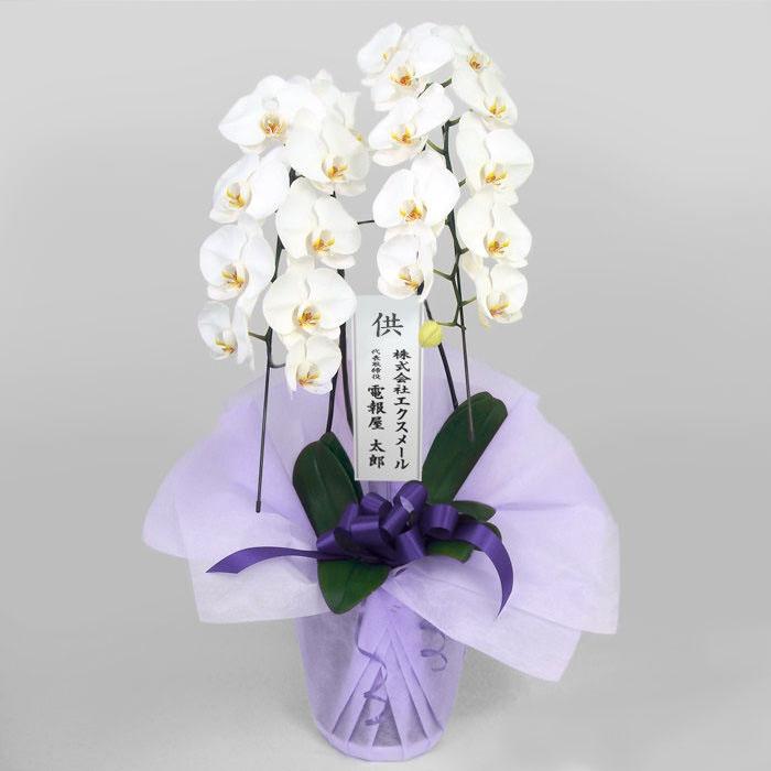 仏花　お供え花　初盆　造花　白百合　白胡蝶蘭アレンジ 仏花 胡蝶蘭と小菊のモダンアレンジ＊プリザーブドフラワー