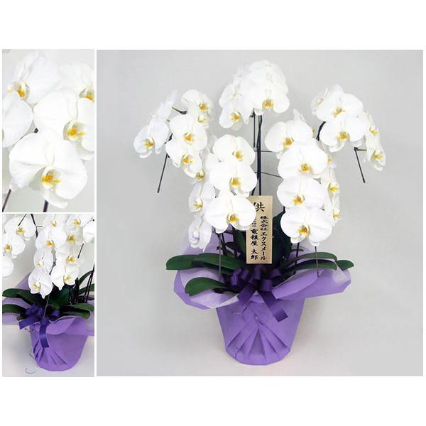 仏花　お供え花　初盆　造花　白百合　白胡蝶蘭アレンジ アートフォーシーズン 新盆 初盆 仏花 プリザーブドフラワー