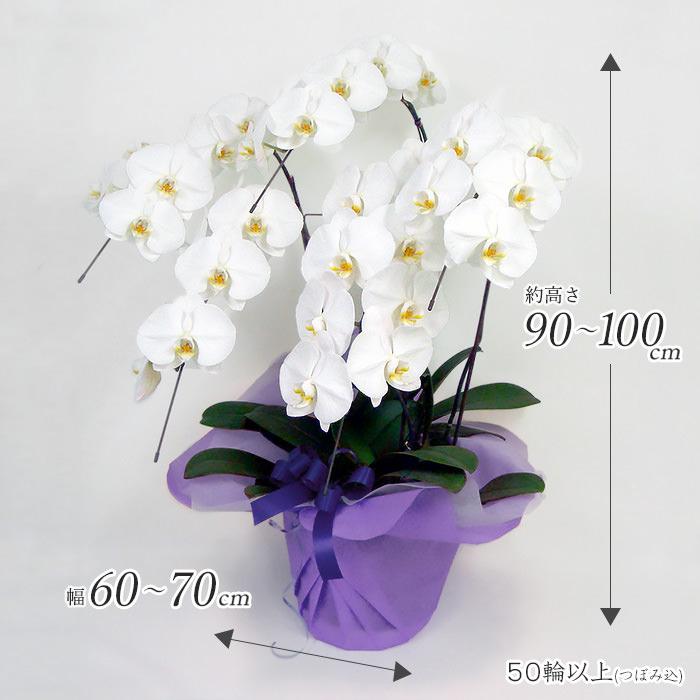 仏花　お供え花　初盆　造花　カトレア　胡蝶蘭 仏花 お供え花 初盆 造花 カトレア 胡蝶蘭