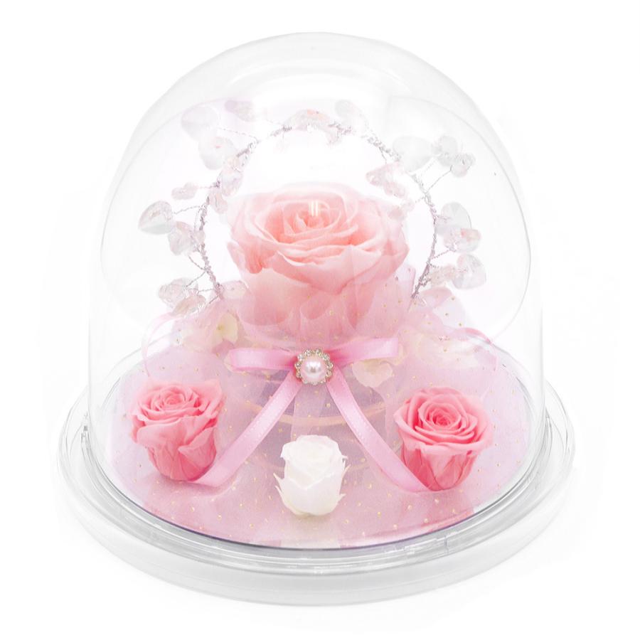 プリザーブドフラワー ワルツ オルゴールドーム ブライダルピンク お祝い 花 ギフト プレゼント 結婚 誕生日 卒業 入学 敬老の日 叙勲 褒章 バラ 出産祝い Yb3hblxpja 花 ガーデニング Www Pedigest Com