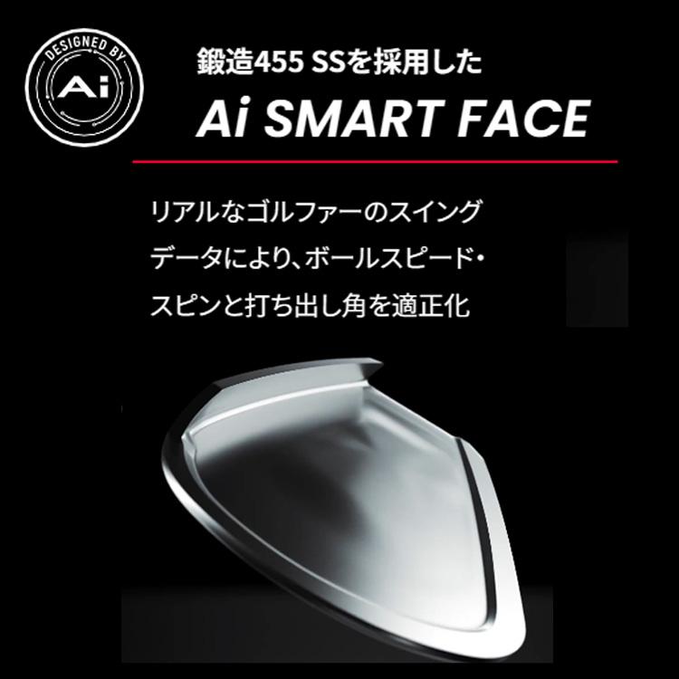 Callaway（キャロウェイ） APEX Ai300 右用 アイアン 6本セット(#5-PW