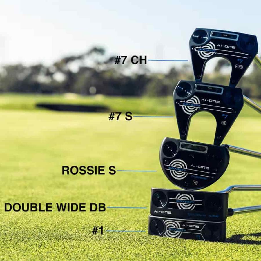 オデッセイ AI-ONE DOUBLE WIDE CH パター AI-ONE DOUBLE WIDE CH パター(パター（単品）)|AI-ONE(オデッセイ)の