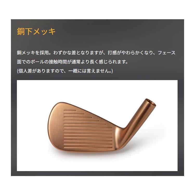 Mizuno Pro ミズノ プロ S-1 アイアン 6本セット(#5-PW) 右用