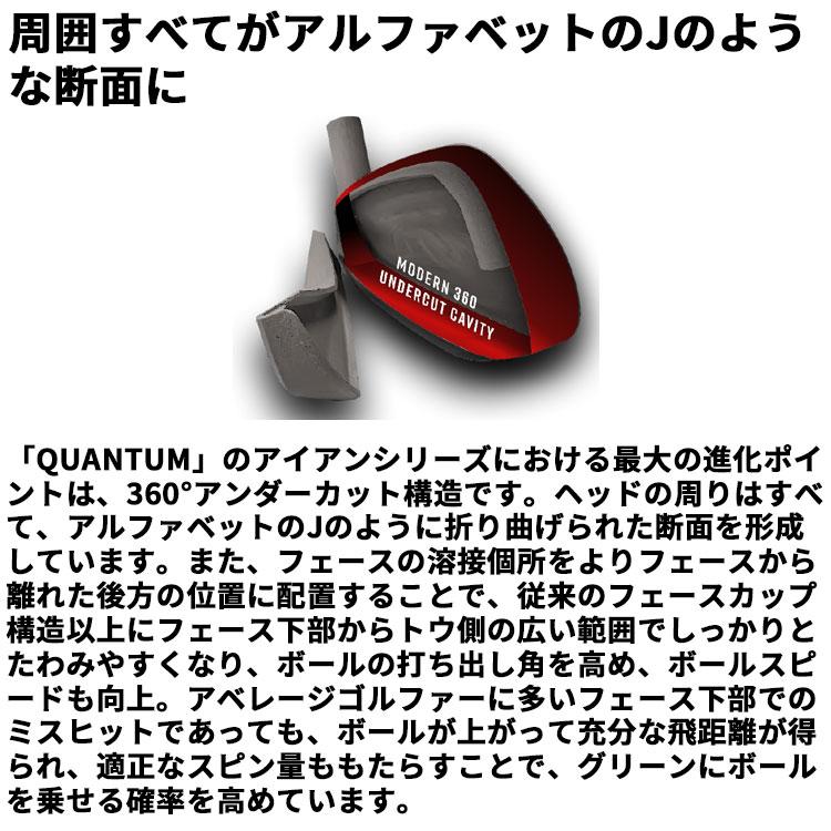 メーカーカスタムクラブ キャロウェイ クアンタム マックス アイアン 5本セット(#6-PW) 右用 Dynamic Gold HT スチールシャフト 日本正規品_6