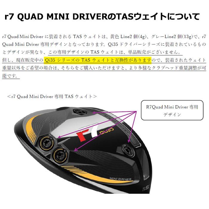 TaylorMade（テーラーメイド） 純正 TAS ウェイト キット （8個入
