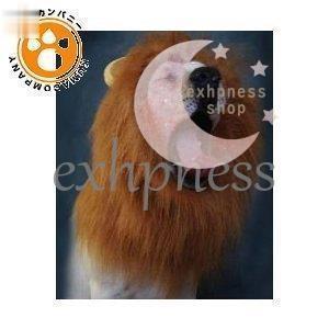 犬 かぶりもの ライオンみたい 本物 リアル 猫 Dd 1213fir506 エクハピ 通販 Yahoo ショッピング