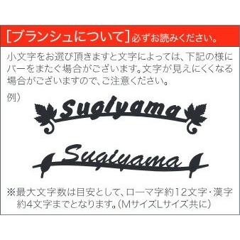 SMILE表札　ステンレス表札 ブランシュ BR-A3-6（Mサイズ）（丸三タカギ） |  | 02