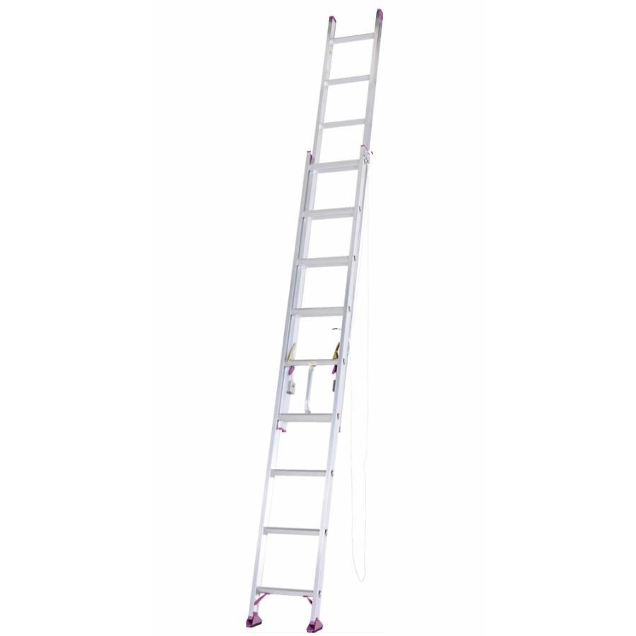 送料無料】アルインコ 2連はしご 安心2連梯子6M CX60DE ＊北海道、沖縄