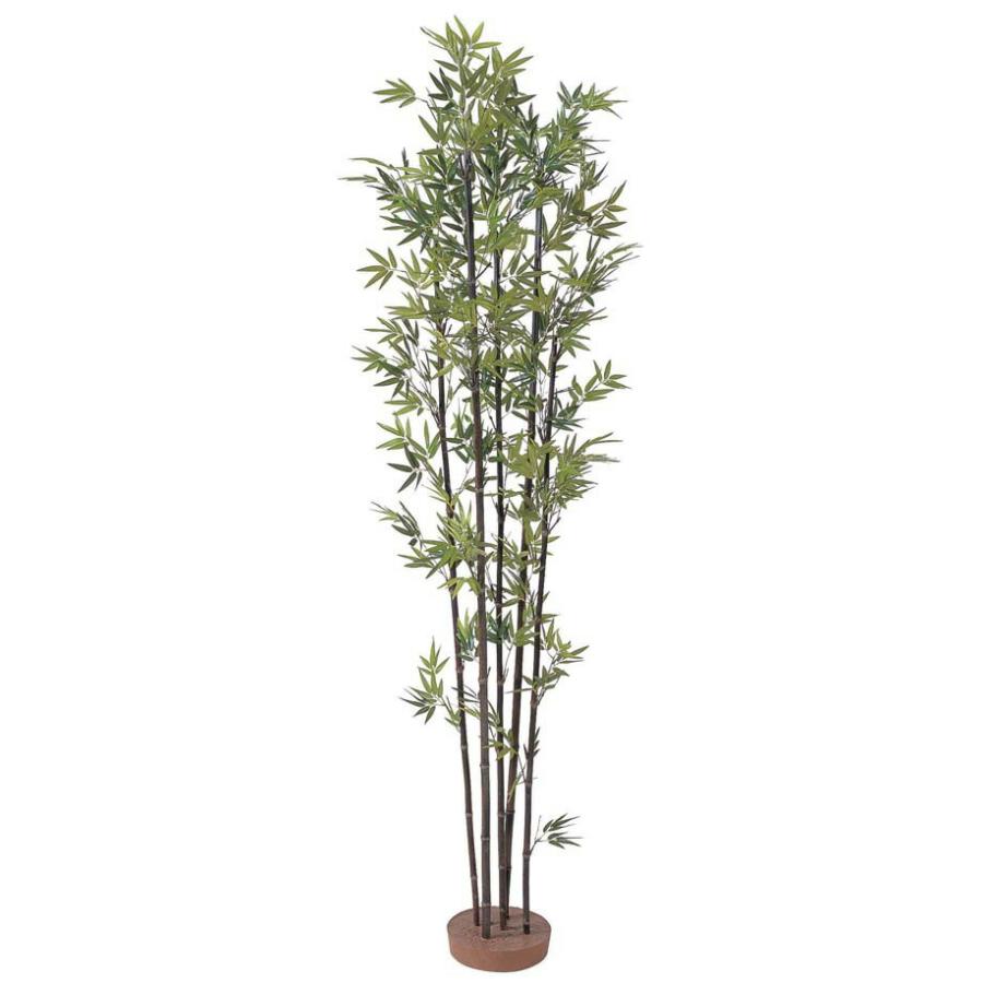 人工植物 和風竹 黒竹5本立 鉢無 1 5m Gd 14s タカショー Gd 14s エクシーズyahoo 店 通販 Yahoo ショッピング