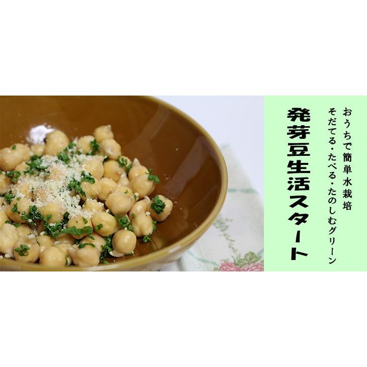 年間ランキング6年連続受賞 発芽豆栽培スターターキット Gfp0002 グリーンフィールドプロジェクト ブロッコリースプラウト オーガニック スプラウト 有機種子 キッチン 送料無料 Aynaelda Com