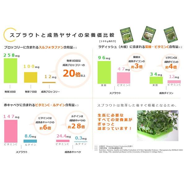 年間ランキング6年連続受賞 発芽豆栽培スターターキット Gfp0002 グリーンフィールドプロジェクト ブロッコリースプラウト オーガニック スプラウト 有機種子 キッチン 送料無料 Aynaelda Com