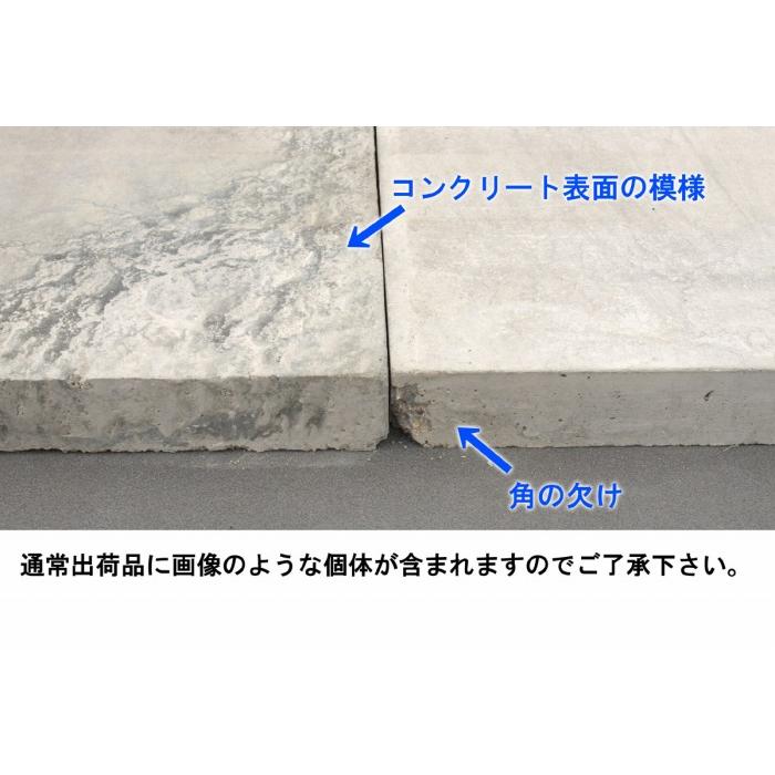 コンクリート棚板 大 4枚（※法人様の事業所宛限定品） : エクシーズ