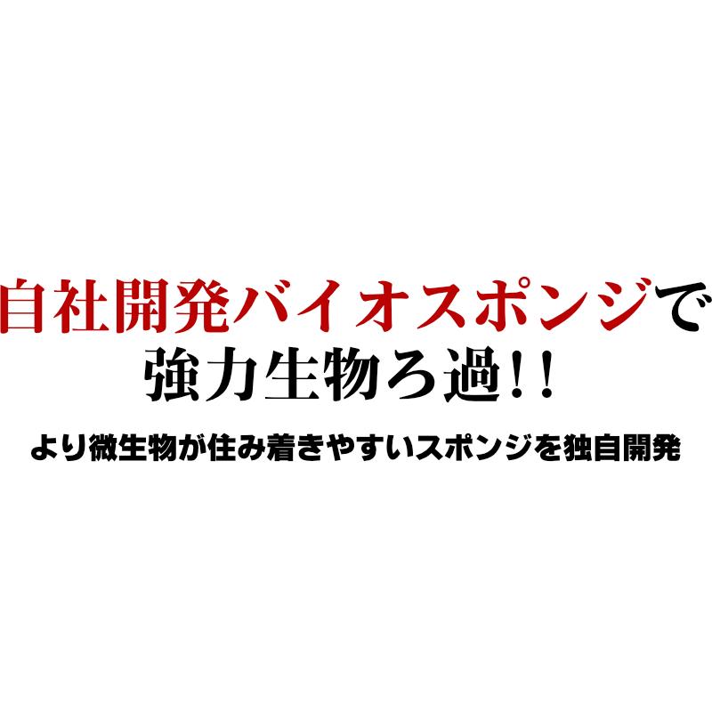 スポンジフィルター 12個セット ろ過 濾過 水槽 酸素 スポンジ パイプ エアーポンプ エアーチューブ 観賞魚 飼育 メダカ 金魚 稚魚 小型 フィルター EXLEAD｜exlead-japan2｜02