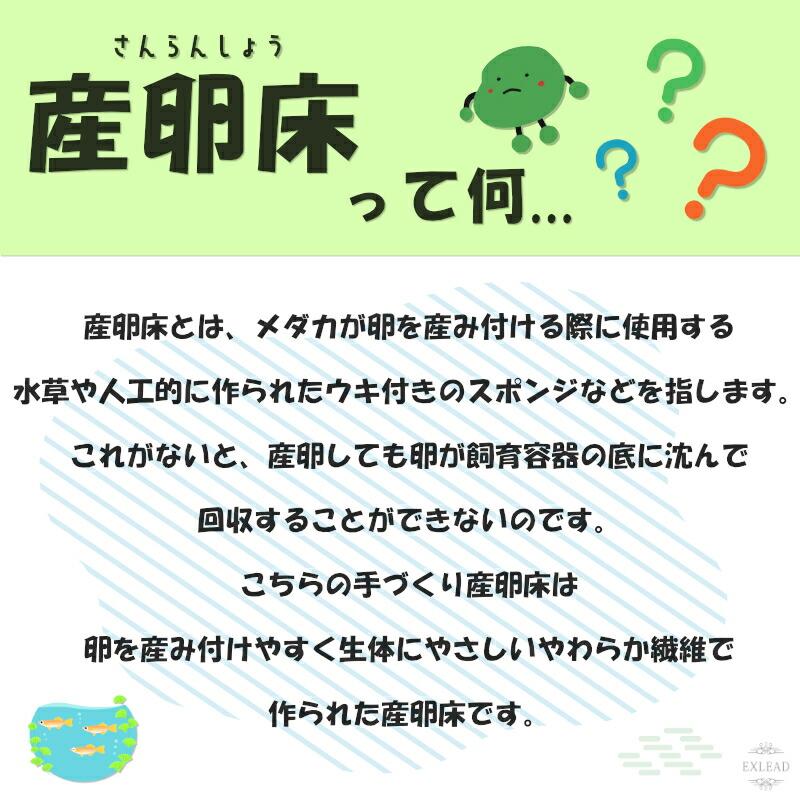 豆カフェめだか 激採れ めだかの産卵床 完成品 50個セット カラーはランダム 人工水草 特殊繊維  卵 採取 保護 めだか メダカ 産卵 淡水魚 水槽 ビオトープ｜exlead-japan2｜02