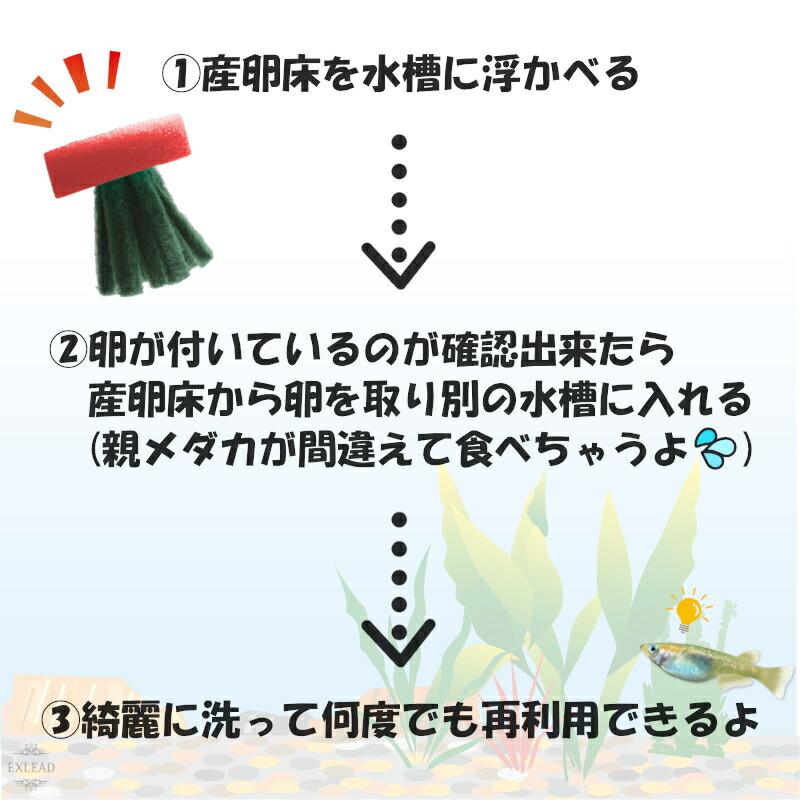 豆カフェめだか 激採れ めだかの産卵床 完成品 100個セット カラーはランダム 人工水草 特殊繊維  卵 採取 保護 めだか メダカ 産卵  淡水魚 水槽 ビオトープ｜exlead-japan2｜03