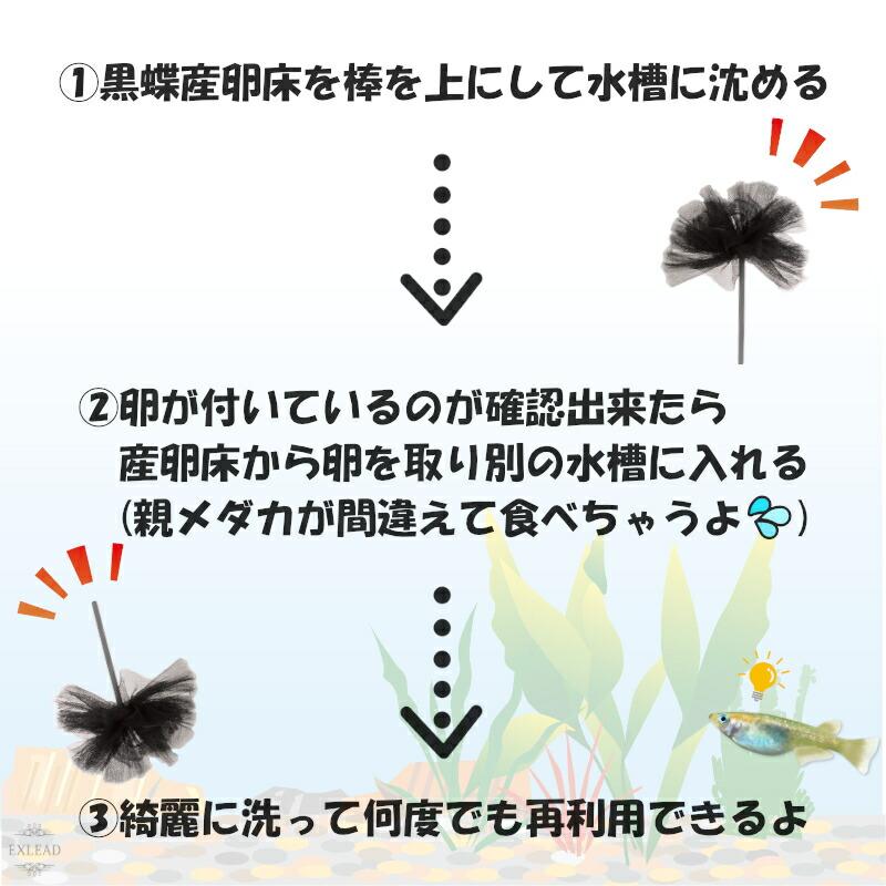 豆カフェめだか 黒蝶産卵床 激採れ めだかの産卵床 完成品 100個セット 人工水草 特殊繊維 卵 採取 めだか メダカ 産卵 淡水魚 水槽 ビオトープ メダカ産卵床｜exlead-japan2｜03