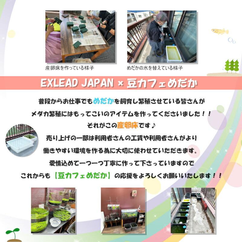 豆カフェめだか 黒蝶産卵床 激採れ めだかの産卵床 完成品 100個セット 人工水草 特殊繊維 卵 採取 めだか メダカ 産卵 淡水魚 水槽 ビオトープ メダカ産卵床｜exlead-japan2｜08