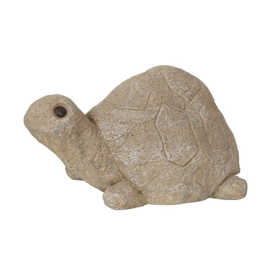 Saga Flライト用カラｰフィルタｰ