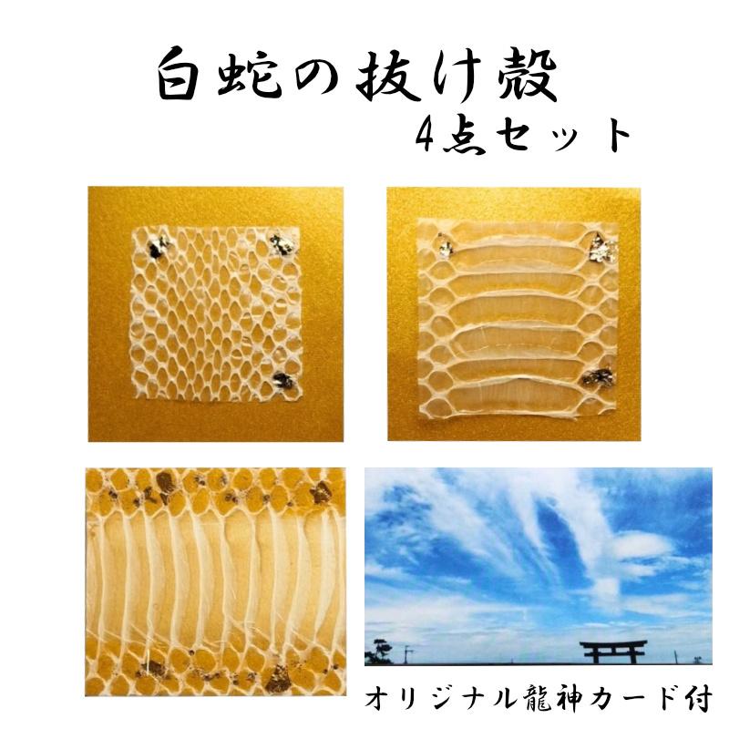 帝王白蛇の白蛇アルビノ抜け殻作成キーホルダー チャーム