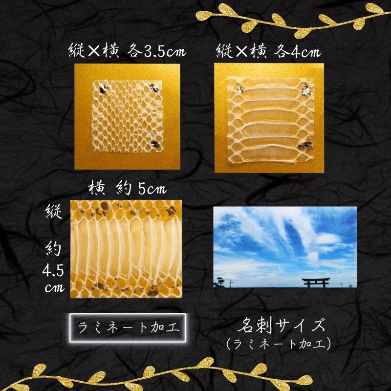 白蛇の抜け殻 お得 4点セット 白ヘビ 開運 金運アップ お守り 白蛇の抜け殻 お得 4点セット 白ヘビ 開運 金運アップ お守り