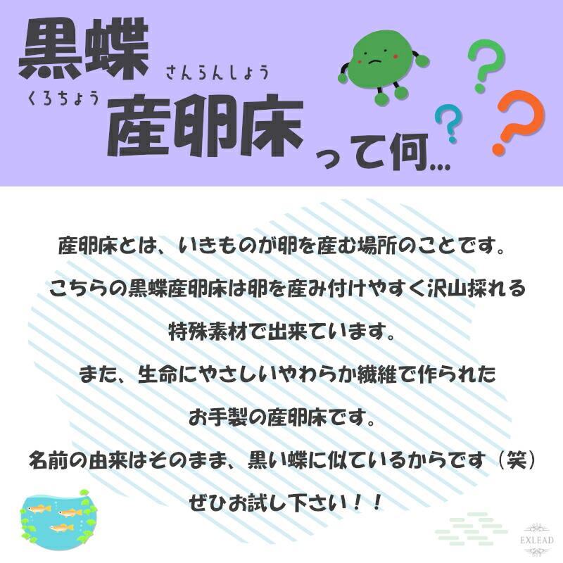 豆カフェめだか 黒蝶産卵床 激採れ めだかの産卵床 完成品 6個セット 人工水草 特殊繊維 卵 採取 めだか メダカ 産卵 淡水魚 水槽 ビオトープ メダカ産卵床｜exlead-japan3｜02