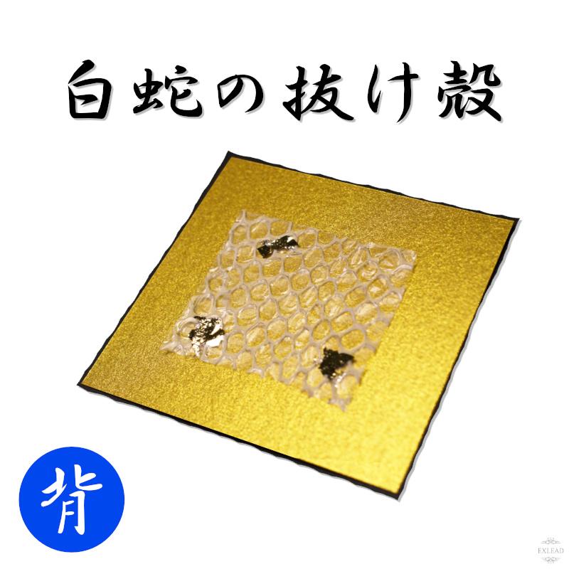 白蛇背部 抜け殻 白ヘビ 開運 金運アップ 祈願済み 白へび 蛇 抜殻 