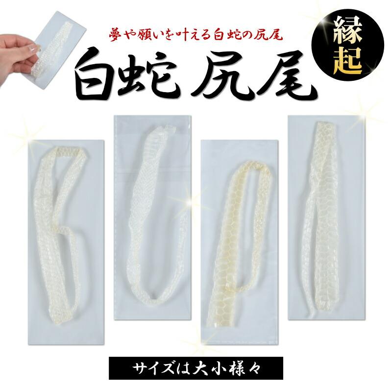 白蛇 尾 抜け殻 尻尾 白ヘビ 開運 御守り アルビノ 金運アップ 白蛇 尾 抜け殻 尻尾 白ヘビ 開運 御守り アルビノ 金運アップ