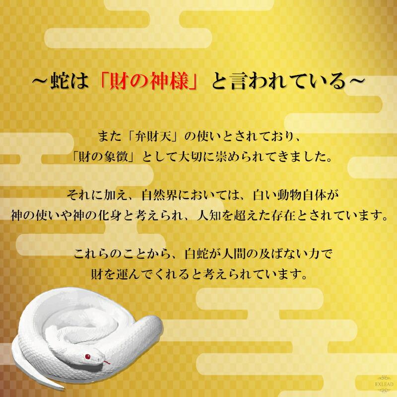 白蛇 尾 抜け殻 尻尾 白ヘビ 開運 御守り アルビノ 金運アップ 白蛇 尾 抜け殻 尻尾 白ヘビ 開運 御守り アルビノ 金運アップ