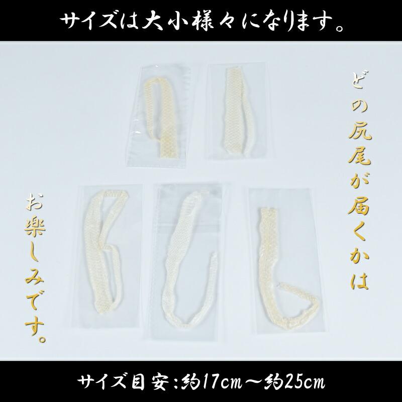 白蛇 尾 抜け殻 尻尾 白ヘビ 開運 御守り アルビノ 金運アップ 白蛇 尾 抜け殻 尻尾 白ヘビ 開運 御守り アルビノ 金運アップ
