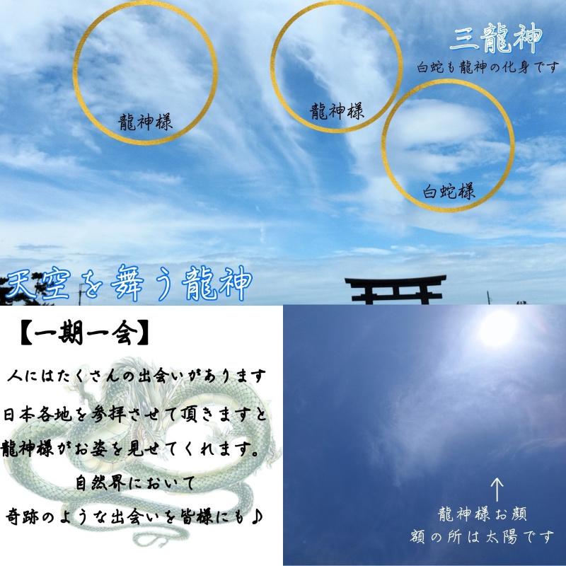 白蛇の抜け殻 龍神 ラミネート加工 お守り 白ヘビ 開運 アルビノ 白蛇の抜け殻 龍神 ラミネート加工 お守り 白ヘビ 開運 アルビノ