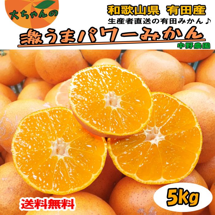 激安通販 みかん おいしい 甘い 産地直送 有田みかん 訳あり 和歌山 県産 減農薬 5キロ 中野農園 美味しい 大ちゃんの 激うまパワーみかん 5kg 送料無料