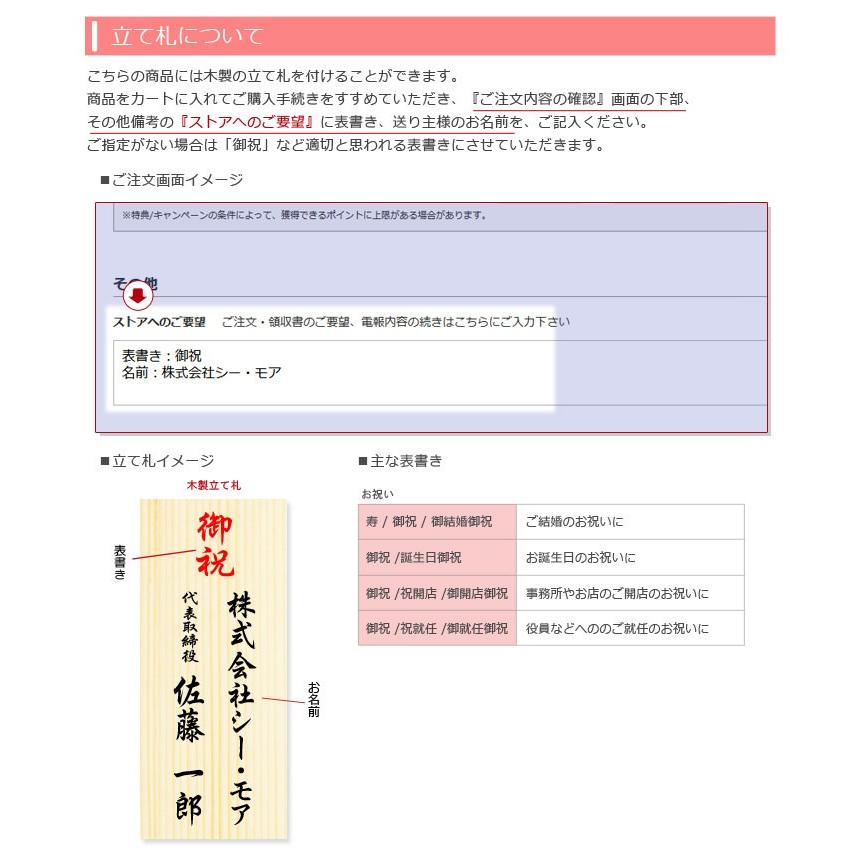 胡蝶蘭 特選胡蝶蘭 ３本立 白 電報なし 36輪以上 お祝い 花 フラワー ギフト プレゼント 結婚祝い 誕生日 クリスマス 叙勲 褒章 開店祝い 開業 当選 Ag03w 電報屋のエクスメール Yahoo 店 通販 Yahoo ショッピング