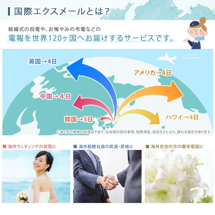 お悔やみ 国際電報 プレミアムカード 哀悼 海外 欧州 ヨーロッパ あて専用 電報 弔電 文例 メッセージ 訃報 C311 Kaigai2b 電報屋のエクスメール Yahoo 店 通販 Yahoo ショッピング