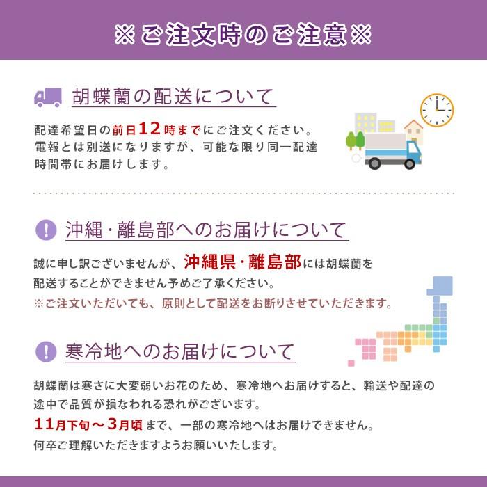 格安販売中 弔電 送料無料 12時までの注文で翌日配達 供花 新盆 お盆 生花 仏花 お悔やみ 供花 フラワー お供え花 葬儀 弔電 電報 白 と プレミアムカード電報 セット ５本立 胡蝶蘭 胡蝶蘭 お供え お悔やみ お供え 生花 Www Amf46 Fr