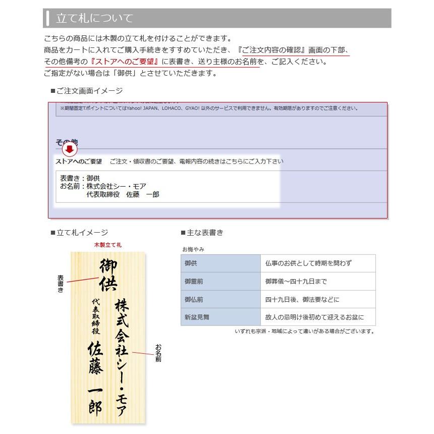 お供え 胡蝶蘭 胡蝶蘭 ５本立 白 と プレミアムカード電報 のセット 電報 弔電 葬儀 お供え花 フラワー 供花 お悔やみ 仏花 生花 お盆 新盆 Cho Ag05 P 電報屋のエクスメール Yahoo 店 通販 Yahoo ショッピング