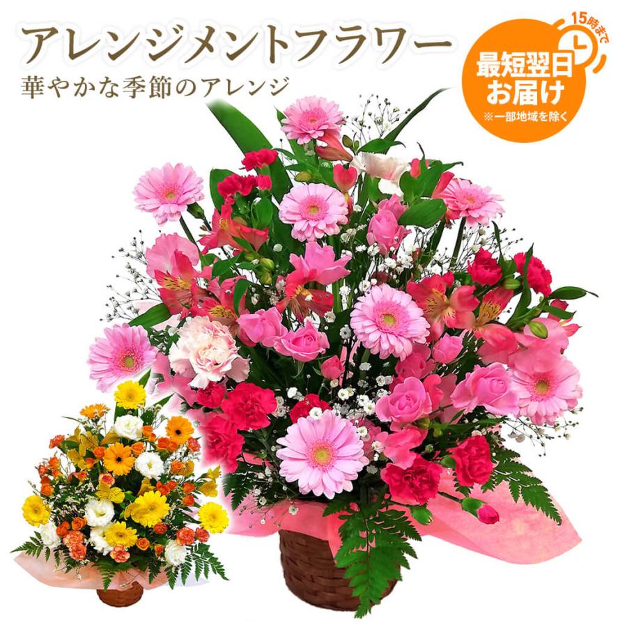 人気ブランド新作豊富 お祝い 結婚式 開店 フラワーギフト 叙勲 誕生日 ユリ 花 開業 電報なし プレゼント ギフト 父の日 お任せアレンジメント 褒章 Hearty 受章 フラワーアレンジメント