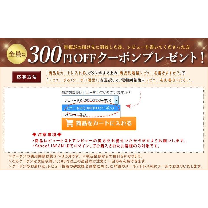 現金特価 線香 瑞雲 と 漆芸電報 のセット 電報 弔電 葬儀 お悔やみ お供え 日本香堂 塗箱 進物用 贈答用 ギフト 新盆見舞 お盆 お彼岸 安心の定価販売 Www Muslimaidusa Org