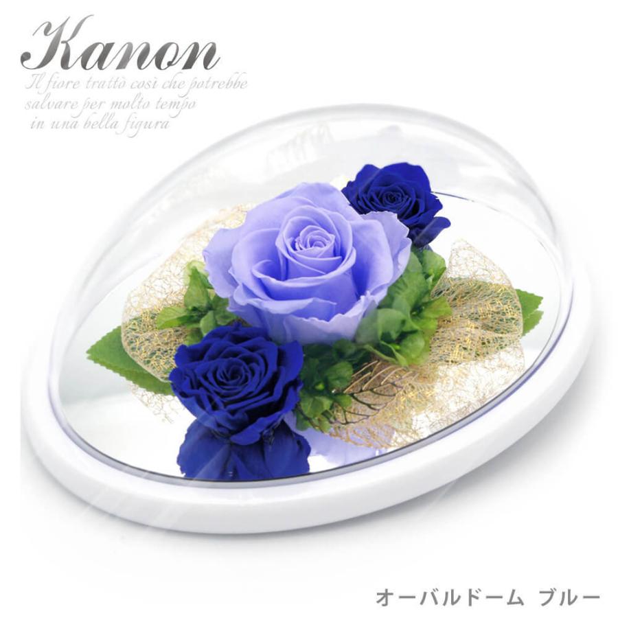 プリザーブドフラワー カノン オーバルドーム カナリア 電報なし お祝い 花 ギフト プレゼント 結婚式 誕生日 クリスマス 叙勲 褒章 バラ Mi072 電報屋のエクスメール Yahoo 店 通販 Yahoo ショッピング