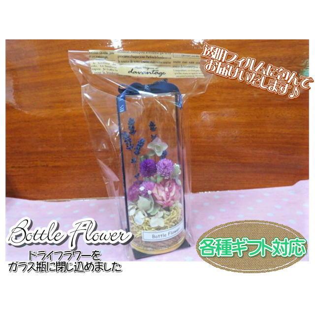 ボトルフラワー　ドライフラワー　フラワーギフト　ガラス瓶　フラワーアレンジ　おしゃれ　ギフト |  | 07
