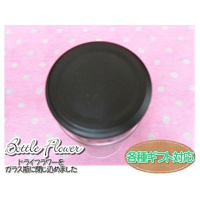ボトルフラワー　ドライフラワー　フラワーギフト　ガラス瓶　フラワーアレンジ　おしゃれ　ギフト |  | 06