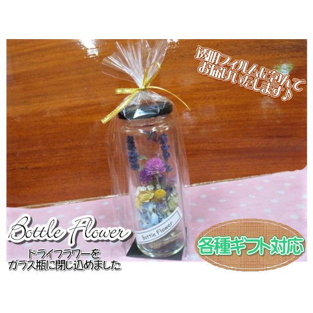 ボトルフラワー　ドライフラワー　フラワーギフト　ガラス瓶　フラワーアレンジ　おしゃれ　ギフト |  | 07