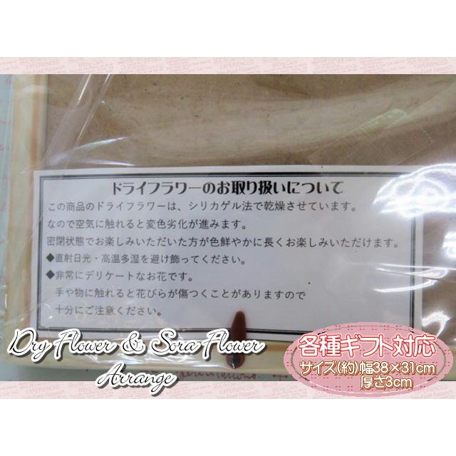 ドライフラワー　ソラフラワー　フラワーギフト　フラワーアレンジ　フレームアレンジ　壁掛け　おしゃれ　ギフト |  | 04