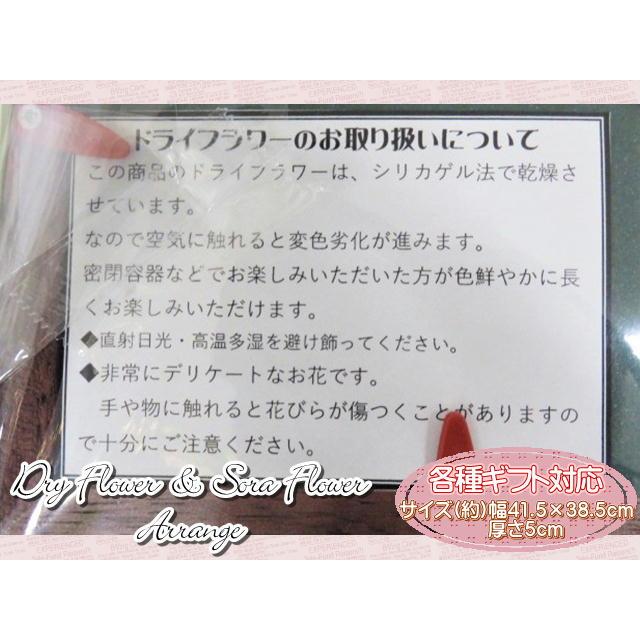 ドライフラワー　ソラフラワー　フラワーギフト　フラワーアレンジ　フレームアレンジ　壁掛け　おしゃれ　ギフト |  | 05