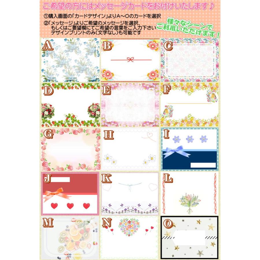 ドライフラワー　ソラフラワー　フラワーギフト　フラワーアレンジ　フレームアレンジ　壁掛け　おしゃれ　ギフト |  | 06