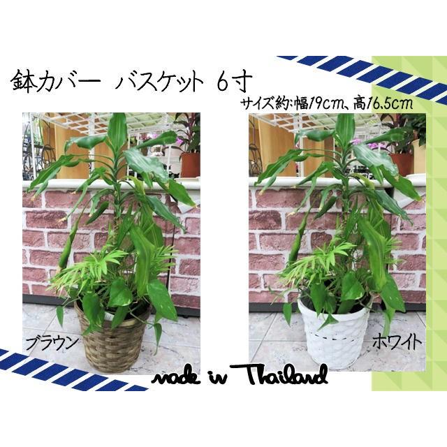 鉢カバー プランターカバー バスケット カゴ 丸正 おしゃれ 6寸 6号鉢サイズ ブラウン ホワイト Ppp Ex Mart 通販 Yahoo ショッピング