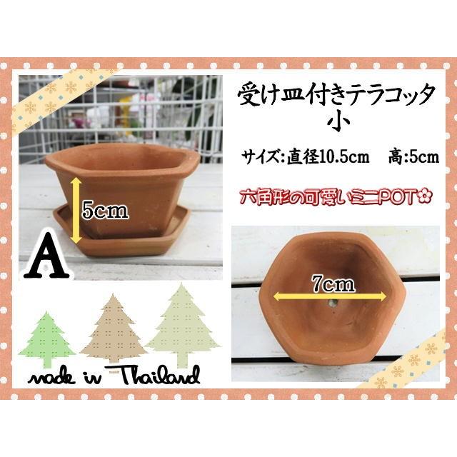 植木鉢 鉢 プランター 受け皿付テラコッタ 小 ミニ 素焼き鉢 おしゃれ