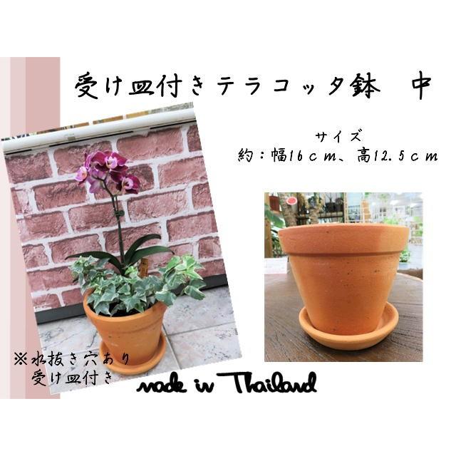 植木鉢 鉢 プランター 受け皿付きテラコッタ 中 素焼き鉢 おしゃれポット ポット Ppp 07 Ex Mart 通販 Yahoo ショッピング